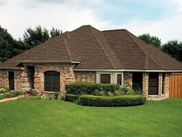 shingle residential roof
