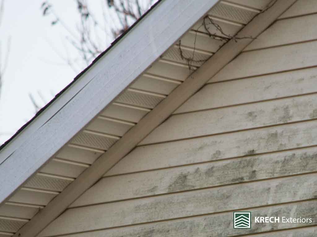 Why You Should Never Ignore Soffit and Fascia Damage