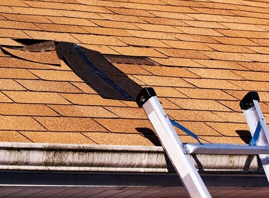 3 home improvement projects for the fall