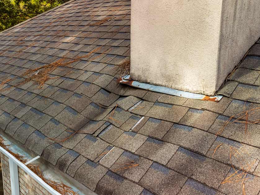 4 Signs You Might Need a Roof Replacement in the Future
