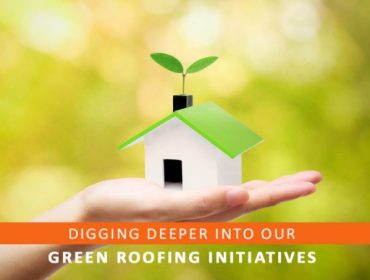 Digging Deeper Into Our Green Roofing Initiatives