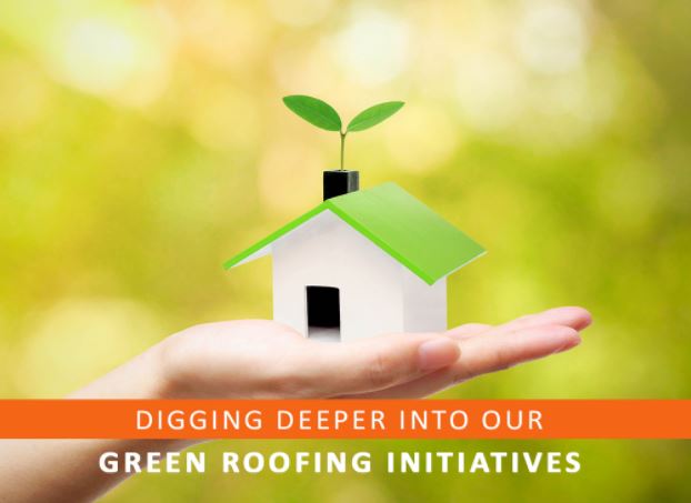 Digging Deeper Into Our Green Roofing Initiatives