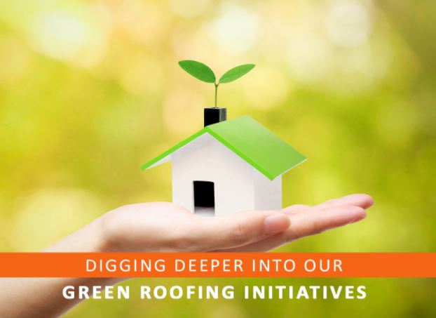 digging deeper into our green roofing initiatives