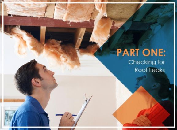 preventing roof damage a quick homeowners guide part 1 checking for roof leaks