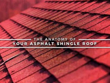 The Anatomy of Your Asphalt Shingle Roof