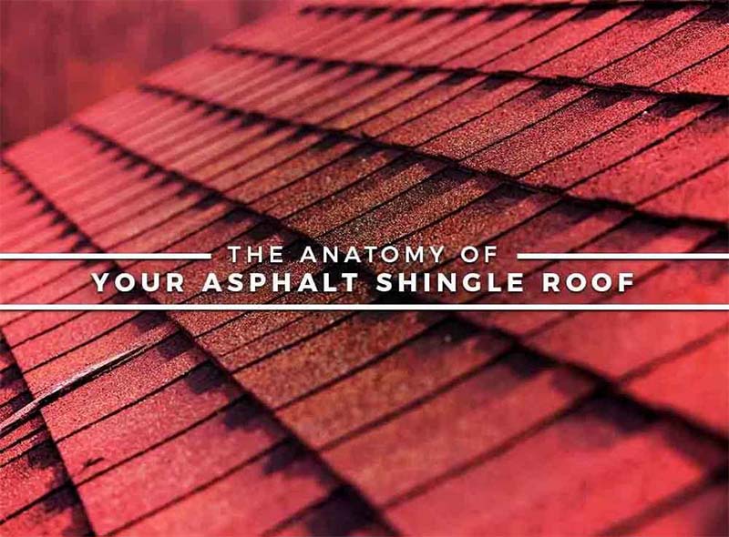 the anatomy of your asphalt shingle roof