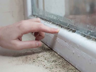 The Causes of Premature Window Failure