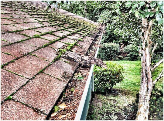 ways to solve moisture problems in your home