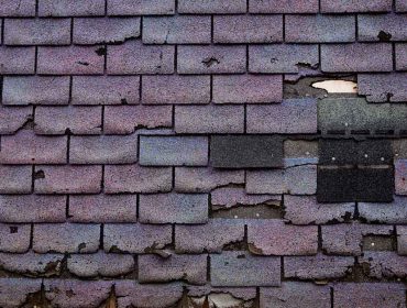What to Do if There’s Dry Rot in Your Roof