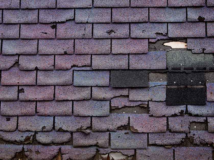 What to Do if There’s Dry Rot in Your Roof