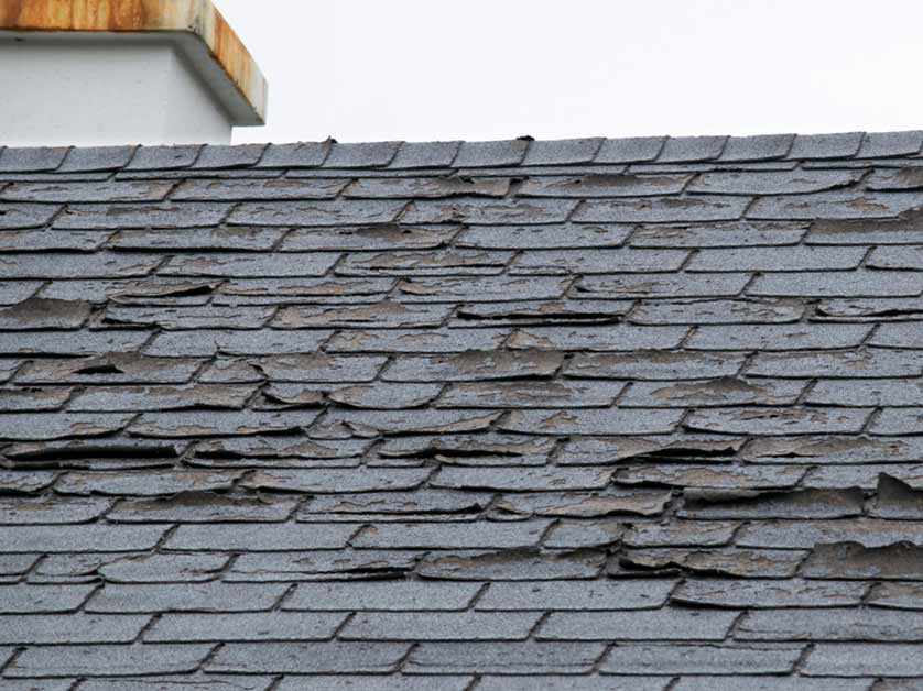 Shingle Damaged